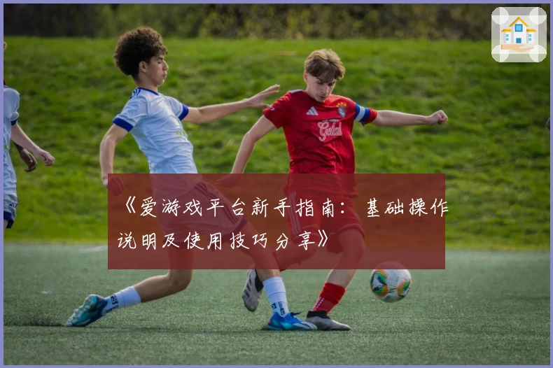 《爱游戏平台新手指南：基础操作说明及使用技巧分享》